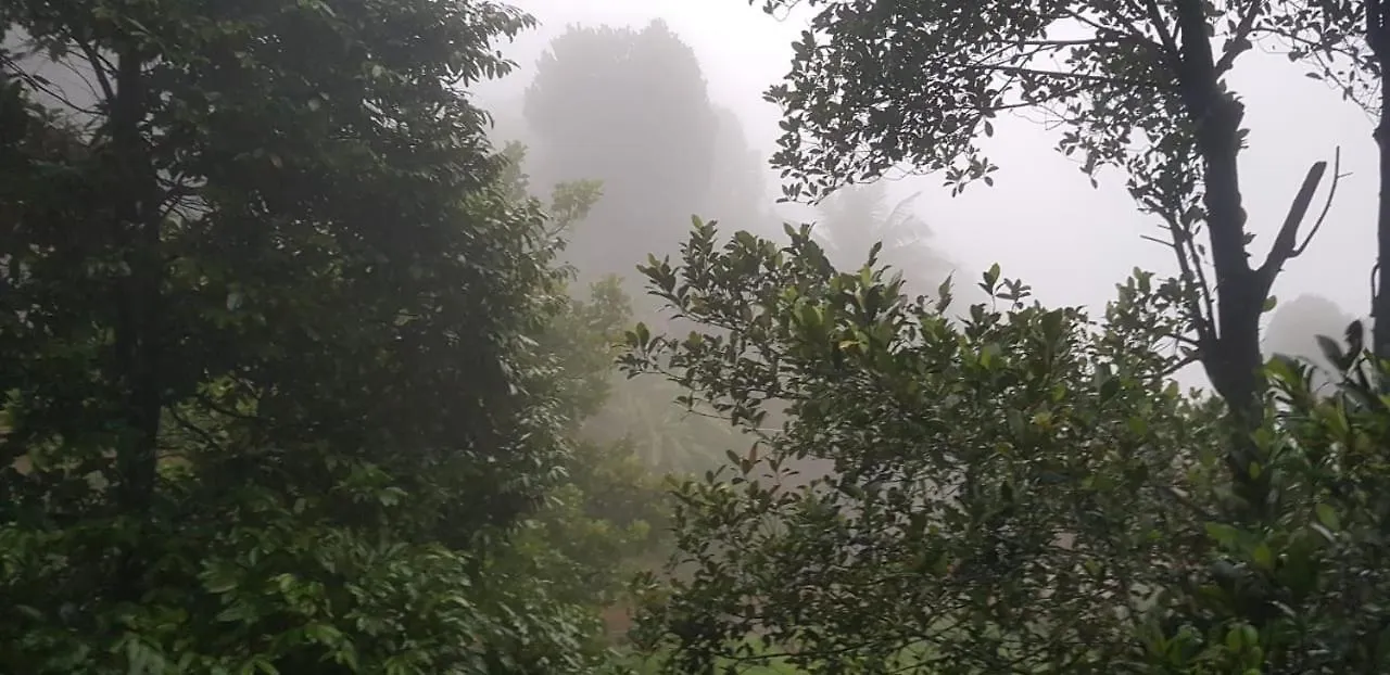 Wayanad Doubletree Villa Vythiri 0*,