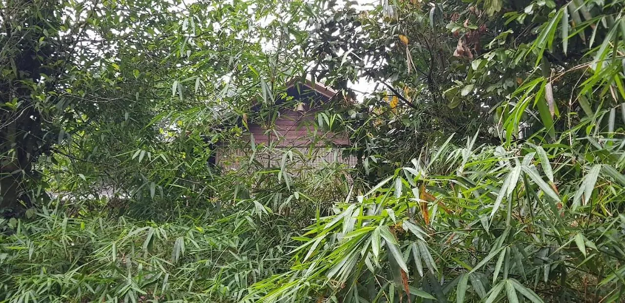 Wayanad Doubletree Villa Vythiri